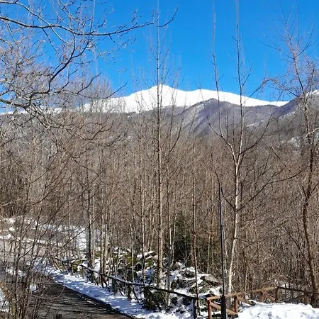 アパート Del Rio